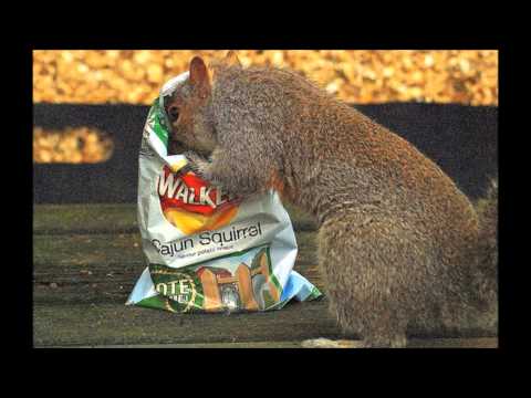 The Crisps Song