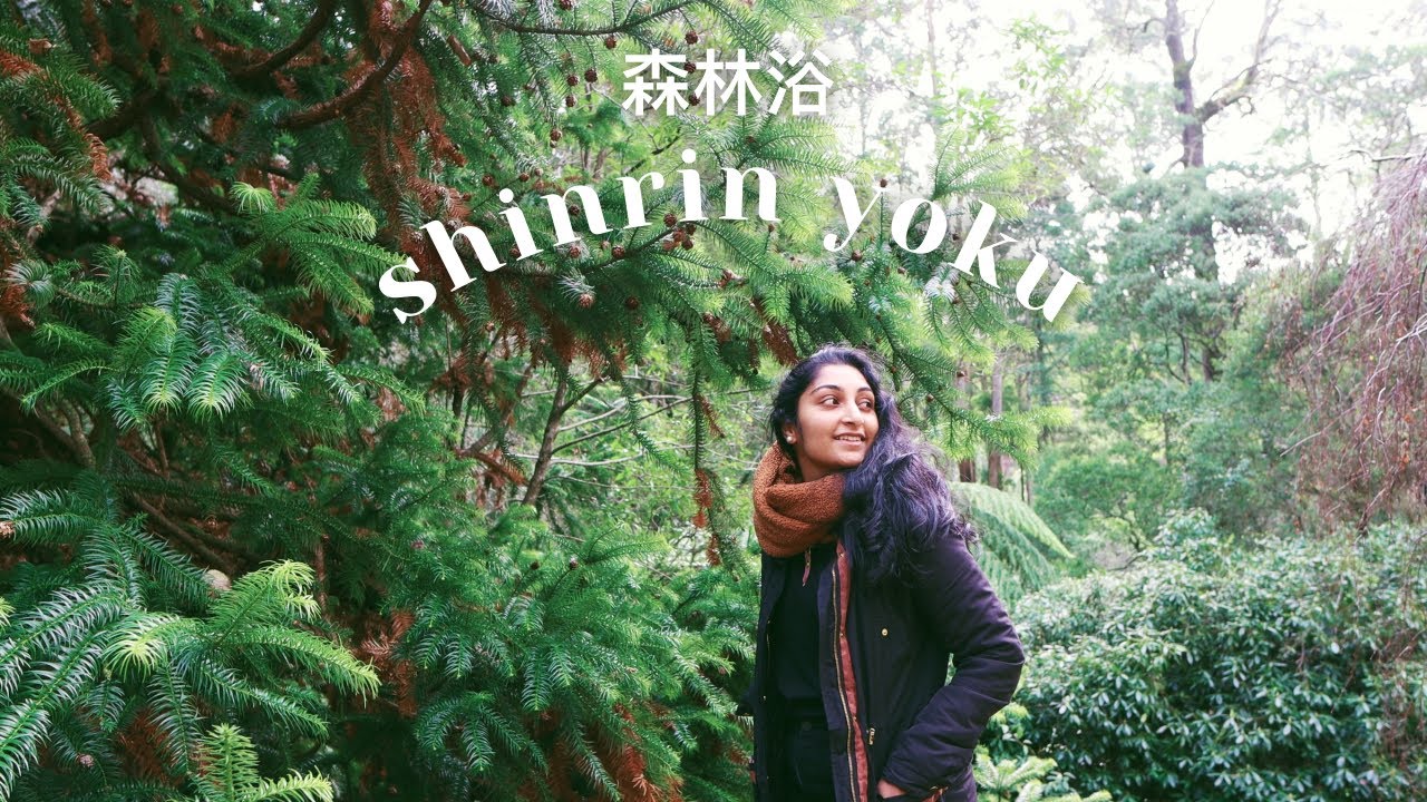 Shinrin-Yoku » The Japanese Art of Forest Bathing - YouTube