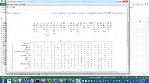 Importing network survey from excel into UCINET