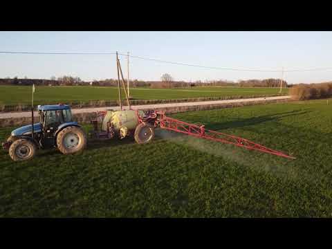 Video: Agro Audzētava 
