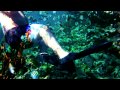 Sony HDR XR550 HD in Sony Sport Pack underwater on the reef