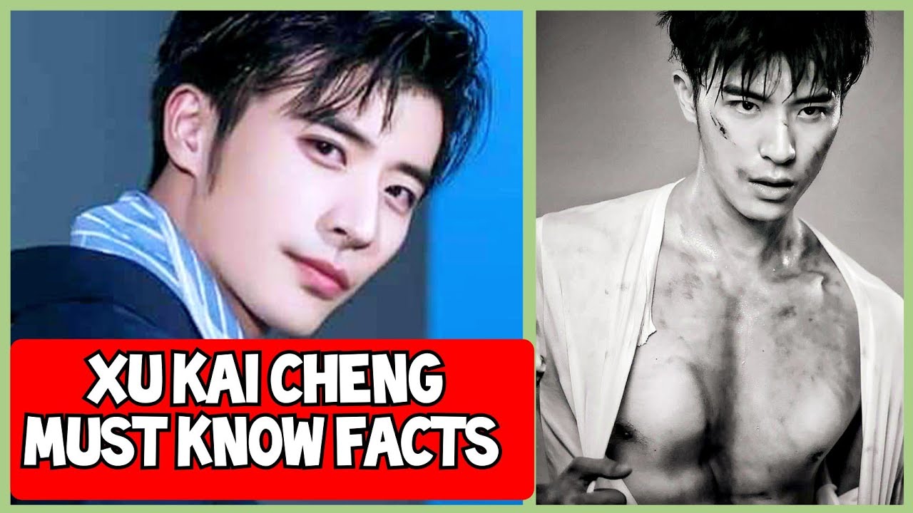 xu kai cheng age, xu kai cheng net worth, well intended love cast real age,...