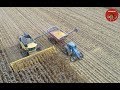 2018 Corn Harvest in Ashtabula County Ohio