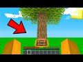 HO COSTRUITO LA STANZA SEGRETA DEL VILLAGER NELLA BIG VANILLA !