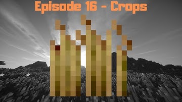 Minecraft Modding 1.12.2 Tutorial - Episode 16 - Crops