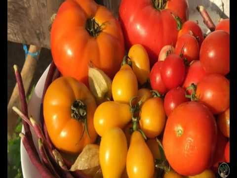 National Permaculture Convergence 2016 - Rosie & Peter on Permaculture Kitchen Garden & Food Forest