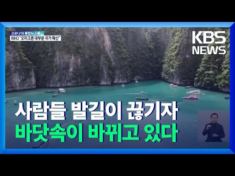 태국 피피섬, 코로나로 생태계 회복 / KBS  2021.12.15.