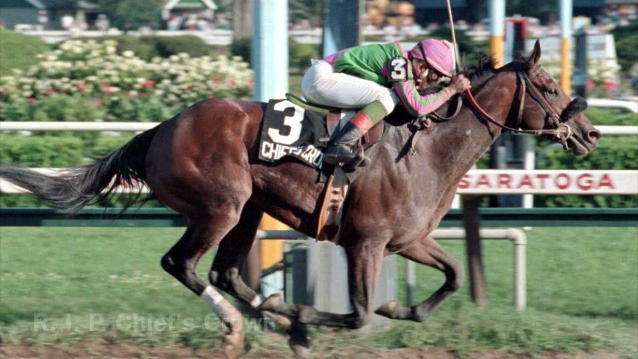 A Tribute To Chief's Crown