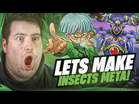 yugioh insect deck list Amazon.com: Yu-Gi-Oh! - Big Insect - SS03-ENB03 - Common - 1st Edition -  Speed Duel Starter Decks