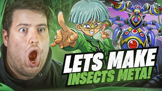 THIS DECK IS READY TO SWARM THE YUGIOH META!