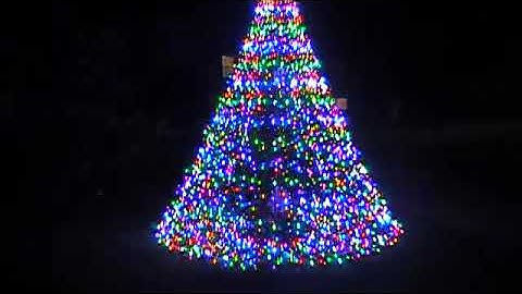 mega tree video test my camera is not good