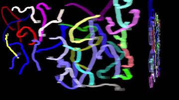 Elisa-3 tracking more than 20 robots with Swistrack