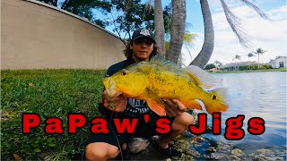 Peacock bass 101 on Jigs  feat. PaPaw’s Jigs