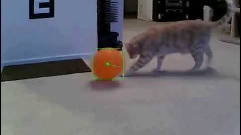 Robot Head Tracking of a Colored Object