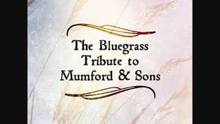 Pickin On Series - Little Lion Man (Mumford & Sons Bluegrass Tribute) chords