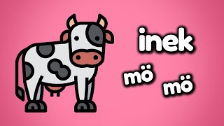 İnek Mö Mö - Kuzu Me Me I Hayvanları Öğreten Çiftlik Şarkısı Şarkıları