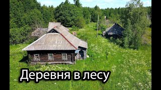 Заброшенная деревня Сицкарей в лесах Ярославской области. Часть 1