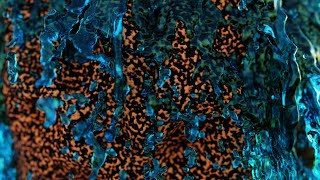 Combine fluid simulations with geometry nodes in Blender! | Blender beginner tutorial