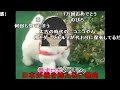 【逆輸入】 愛犬ロボ「ケリン」 　【コメ付き】