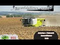 Ls25 ( #31 #Nordfriesisches-Land ) Sonnenblumen Ernte [ Ackerbau &amp; Viehzucht ]