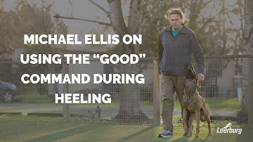 Michael Ellis on Using the “Good” Command During Heeling