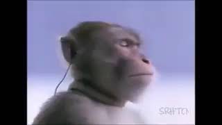 Durdurun Dünyayi Ferdi̇ Tayfur