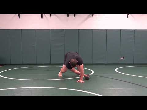 Bear Position DB Pull Through