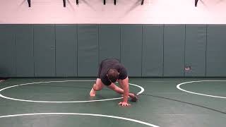 Bear Position DB Pull Through