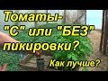 Томаты с пикировкой и без неё. Как лучше?