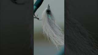 Big Perch On The Fly - Full Video Online