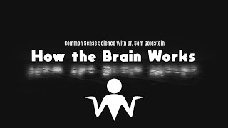 Famous Common Sense Science - E09 How the Brain Works - Dr. Sam Goldstein Profile