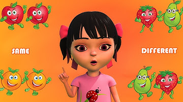 Same and Different for Kids | Learn Same and Different | Elearning | Learning Concept for Kids