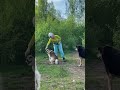 ❤️🔥А кто это такой хороший участвовует в Экофесте в Балатово уже сейчас ❤️🔥