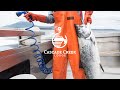 Alaska sport fishing  cascade creek lodge