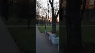 парк 1мая Брест