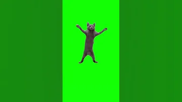 猫ミーム素材 ダンス猫 