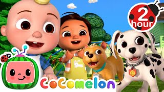 My Special Puppy Play Date More Cocomelon Fun Cartoons For Kids Moonbug Kids