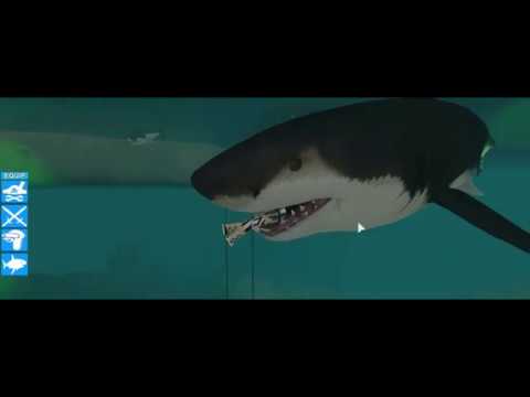 Roblox Shark Attack - roblox shark attack the attack by bslick