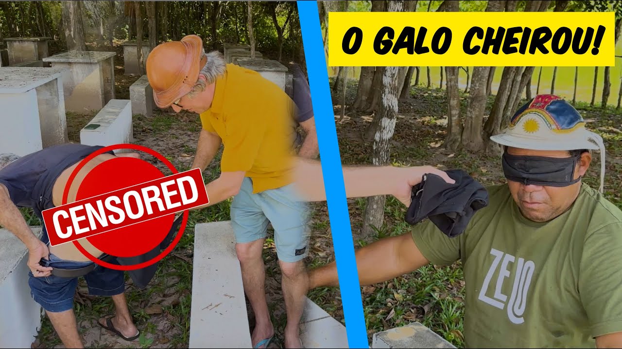 O GALO CHEIROU A CUECA DE LICURGO