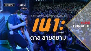 เนาะ(ເນາະ)-บอม ลูกพระธาตุ 【Cover】ตาล ลายสยาม เทศกาลลางสาดลองกองหวาน จ.อุตรดิตถ์ chords