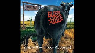 blink-182 - Apple Shampoo Acoustic (HQ)