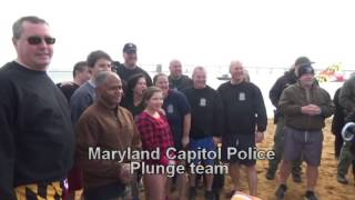 Polar Bear Plunge Video
