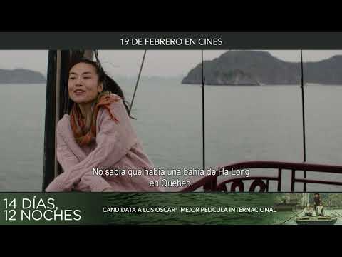 14 DÍAS, 12 NOCHES | Trailer español VESE | 19 de febrero en cines