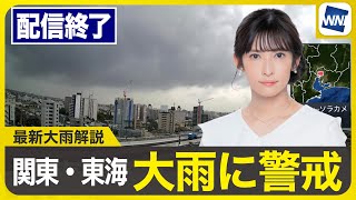 ウェザーニュースの配信のサムネイル画像