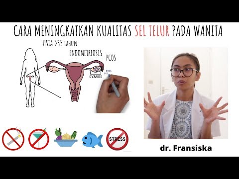 Video: Cara Meningkatkan Kualitas Telur untuk IVF: 11 Langkah (dengan Gambar)