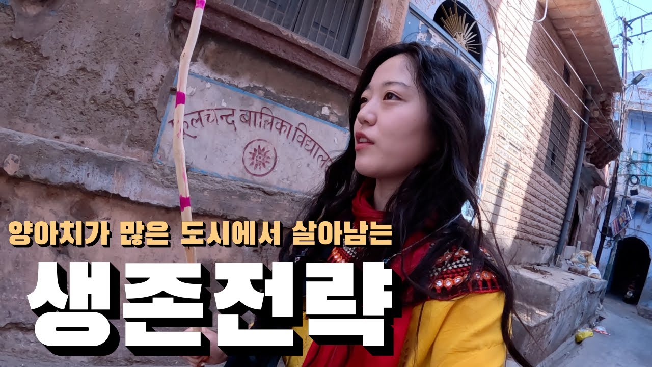 양아치가 많은 도시 대응 전략 인도 나홀로 여행  🇮🇳(19)