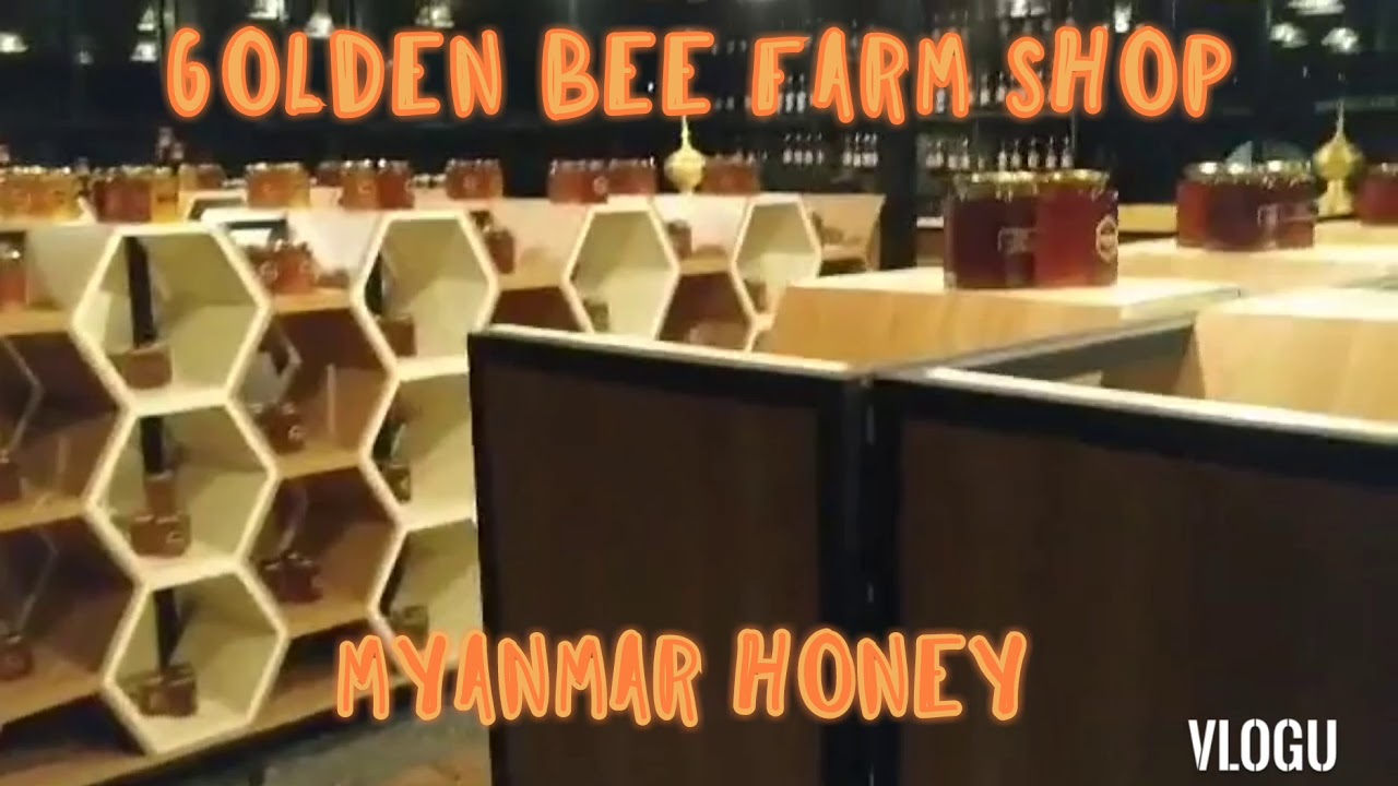 Golden Bee Farm,You Can Order Now ,Product Of Myanmar🇲🇲 - YouTube