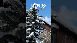 LIVIGNO, Italy 🇮🇹 Ski resort January 2024 #tourism #travel #livigno