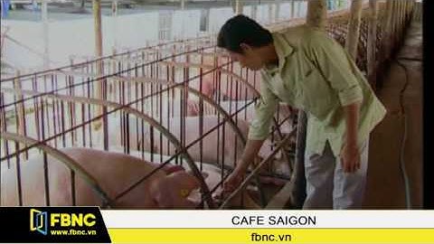 FBNC - ĐỒNG NAI ,TP.HCM HỢP TÁC TRUY XUẤT NGUỒN GỐC THỊT HEO