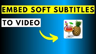 How to Embed Multiple Soft Subtitles to Video Using HandBrake - UPDATED screenshot 1